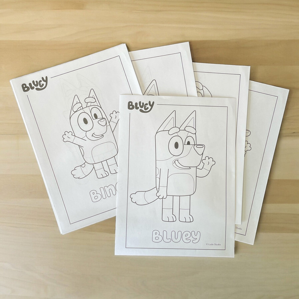 Bluey und Bingo Schreibwarenset - Bluey