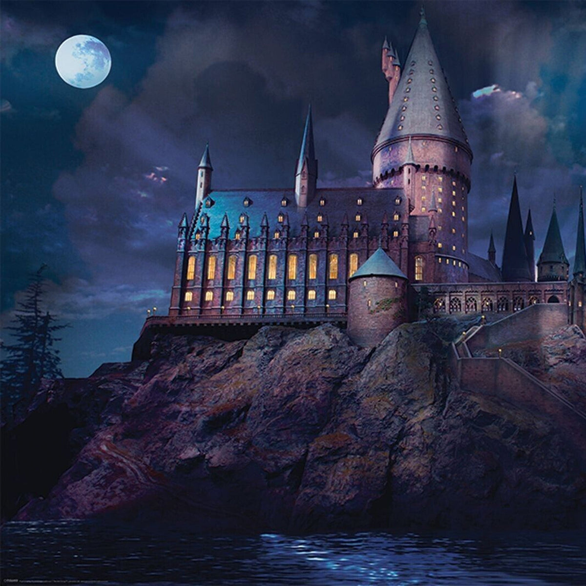 Hogwarts Maxi Poster - Harry Potter