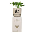 Micky Maus Blumentopf - Disney
