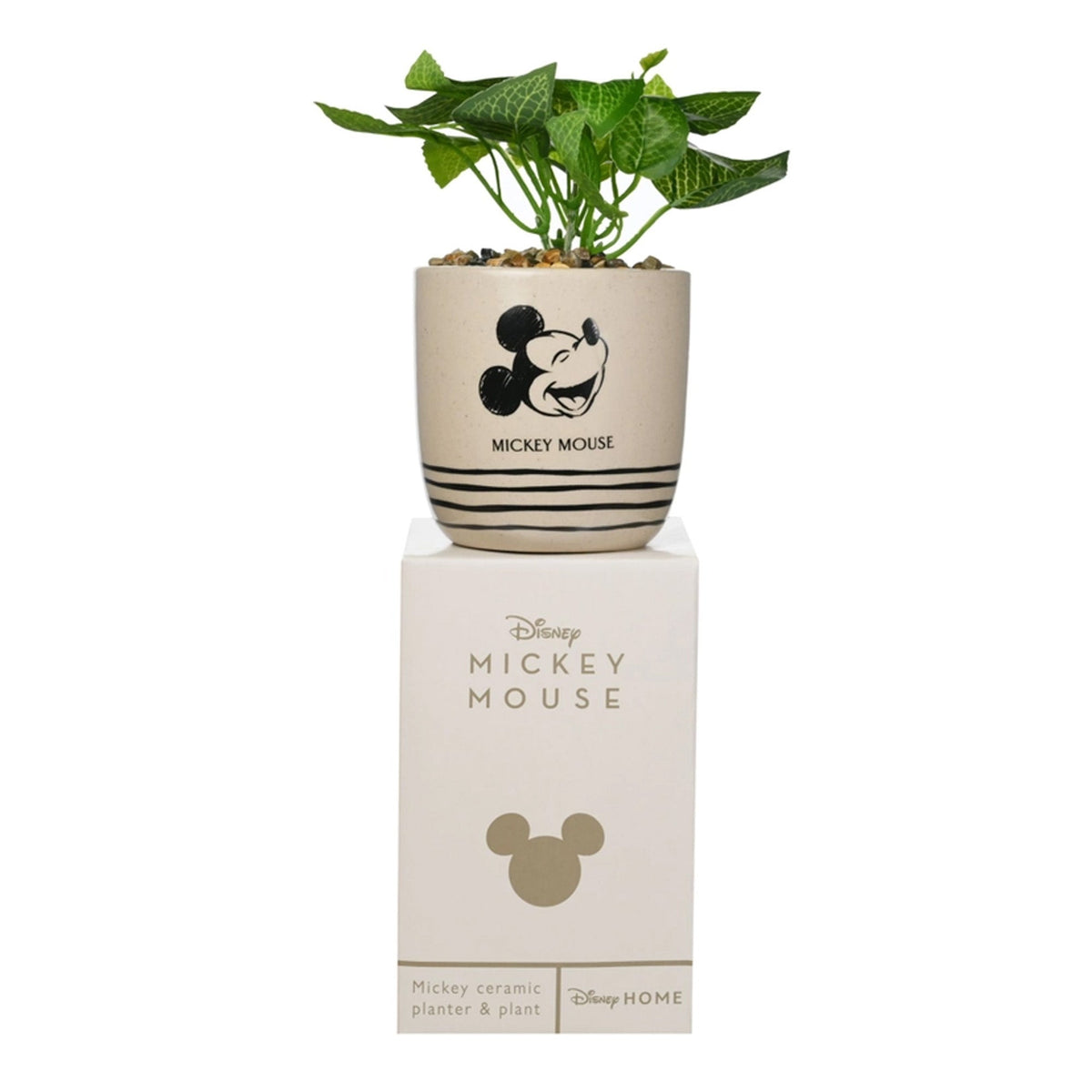 Micky Maus Blumentopf - Disney
