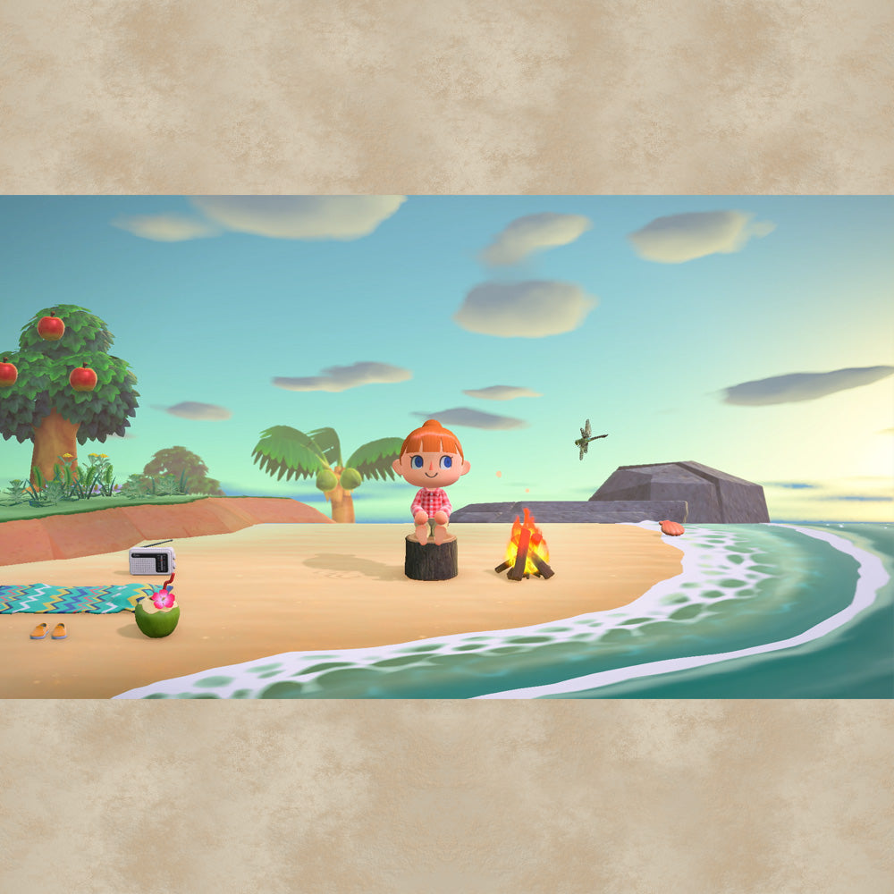 Nintendo Switch New Horizons Limited Edition