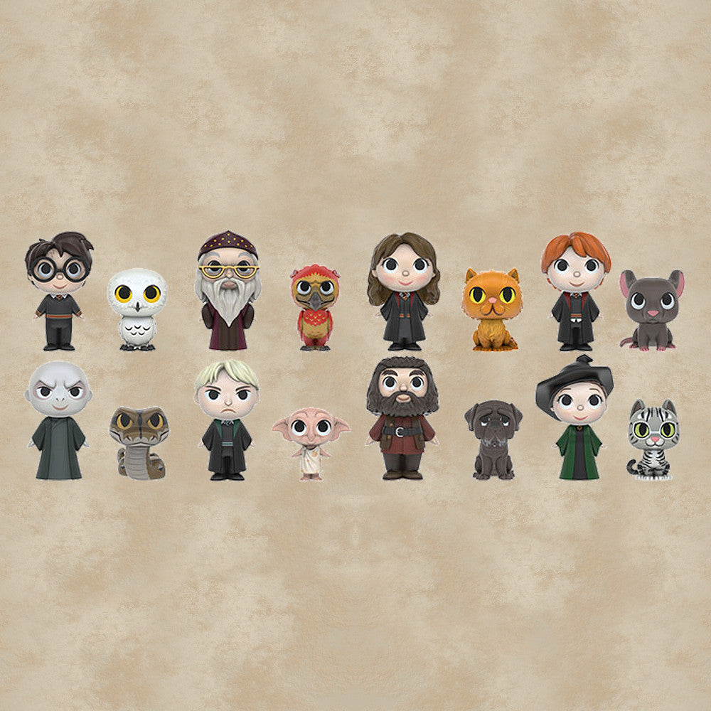 Funko Mystery Mini (Blind Box) - Harry Potter