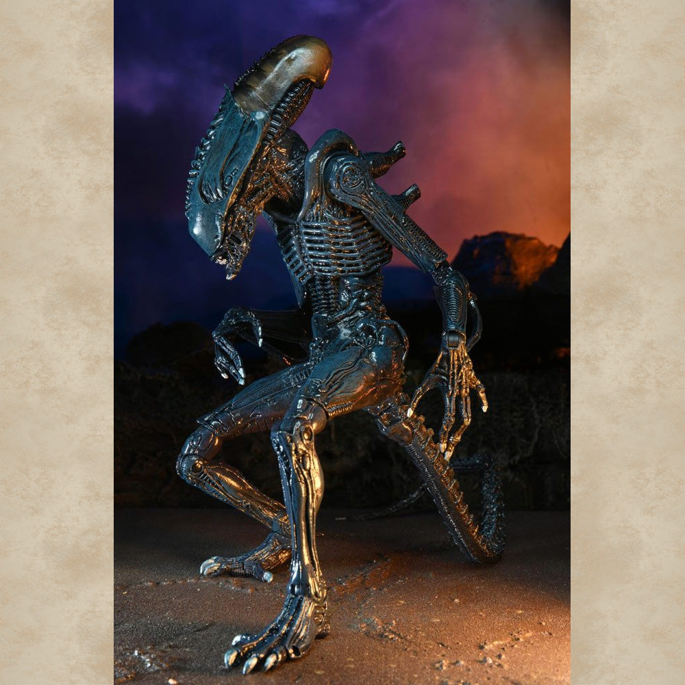 Ultimate Arachnoid Alien Action Figur - Alien vs. Predator