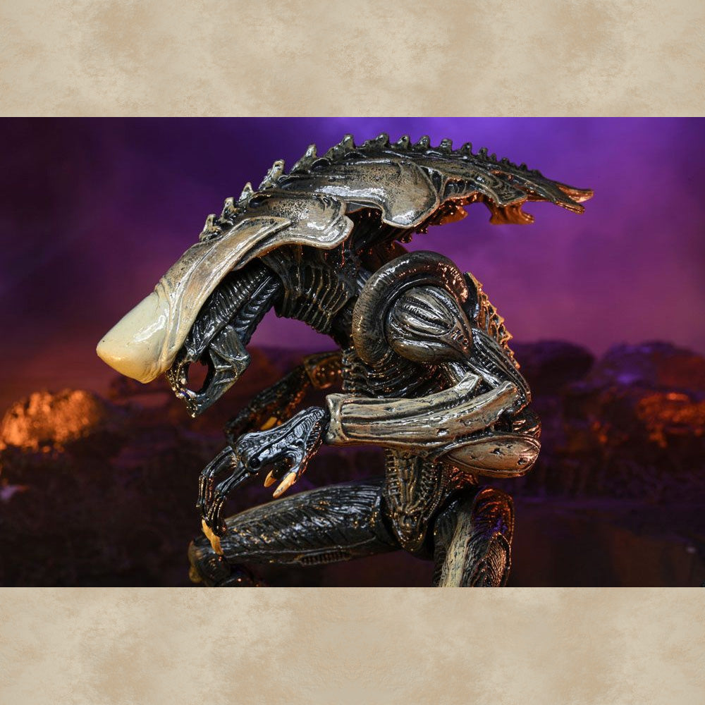 Ultimate Chrysalis Alien Action Figur - Alien vs. Predator