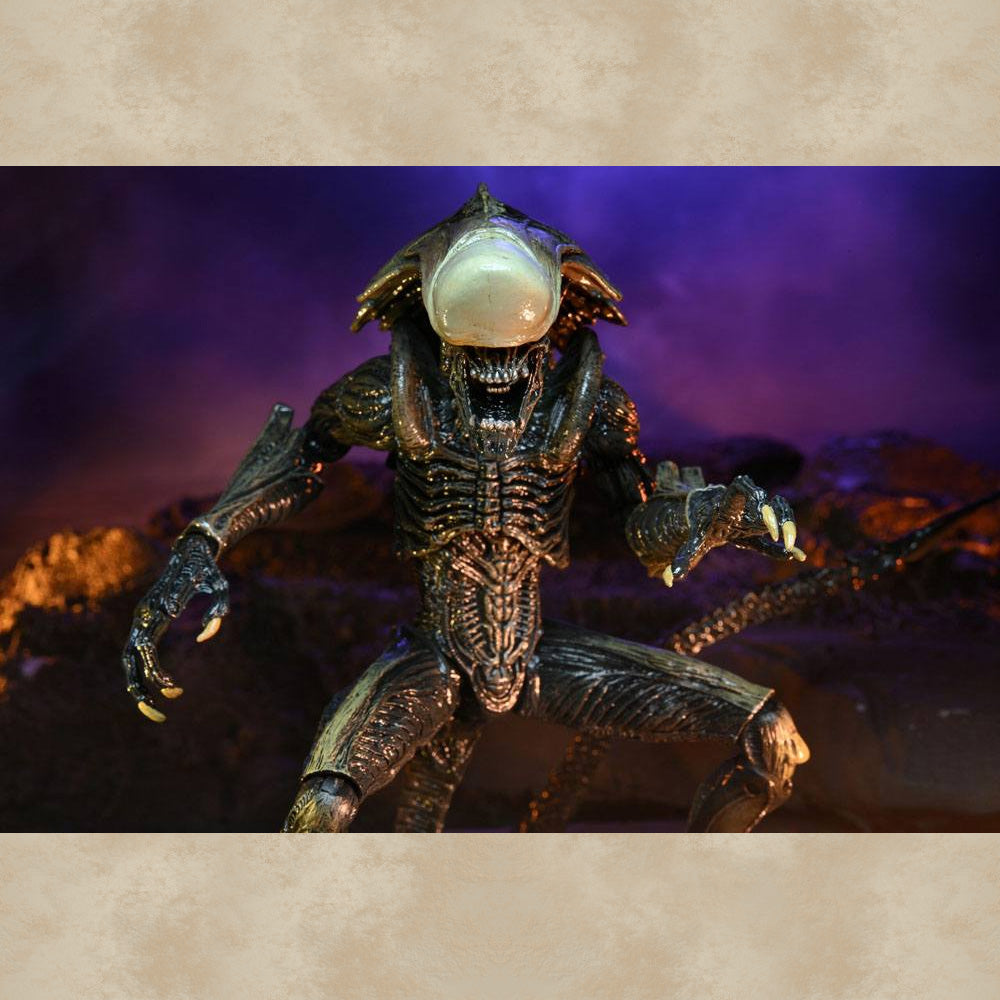 Ultimate Chrysalis Alien Action Figur - Alien vs. Predator