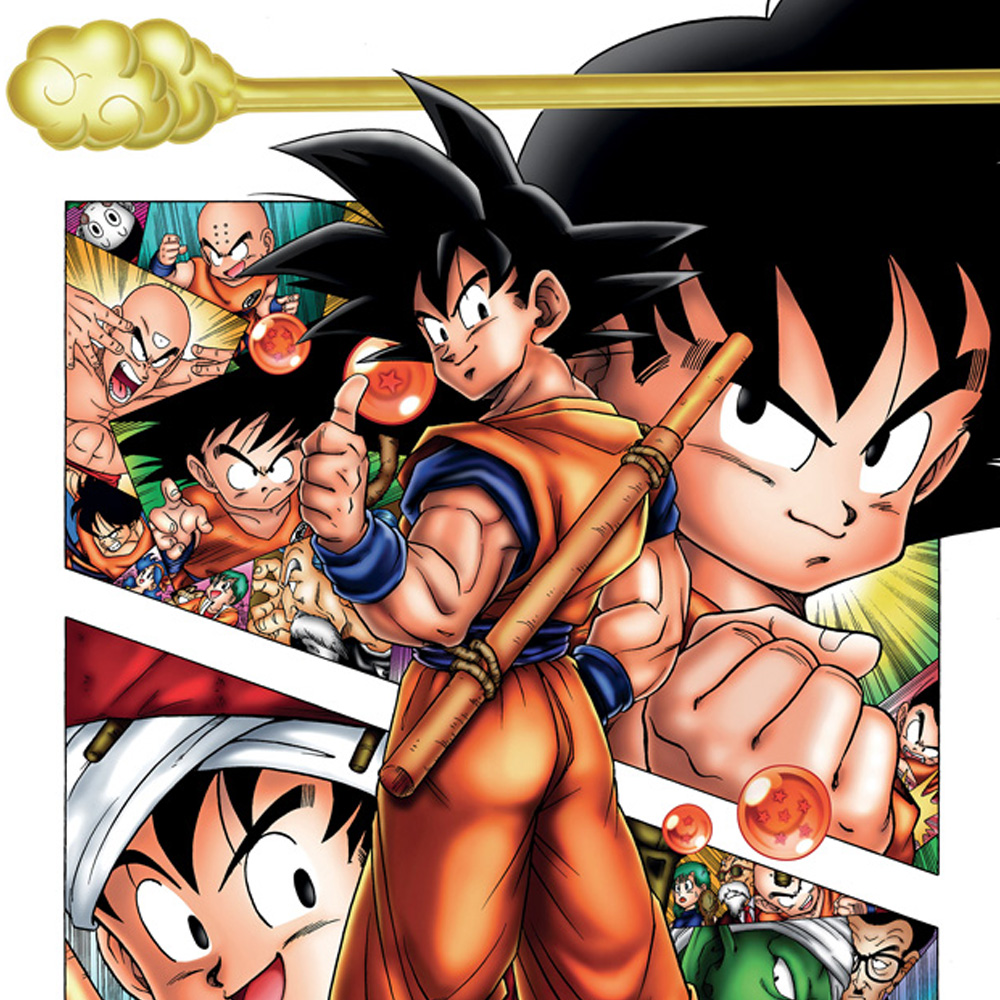 Son Goku Story Maxi Poster - Dragon Ball Z