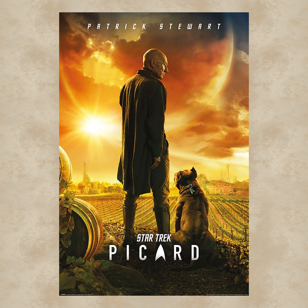 Picard Maxi Poster - Star Trek