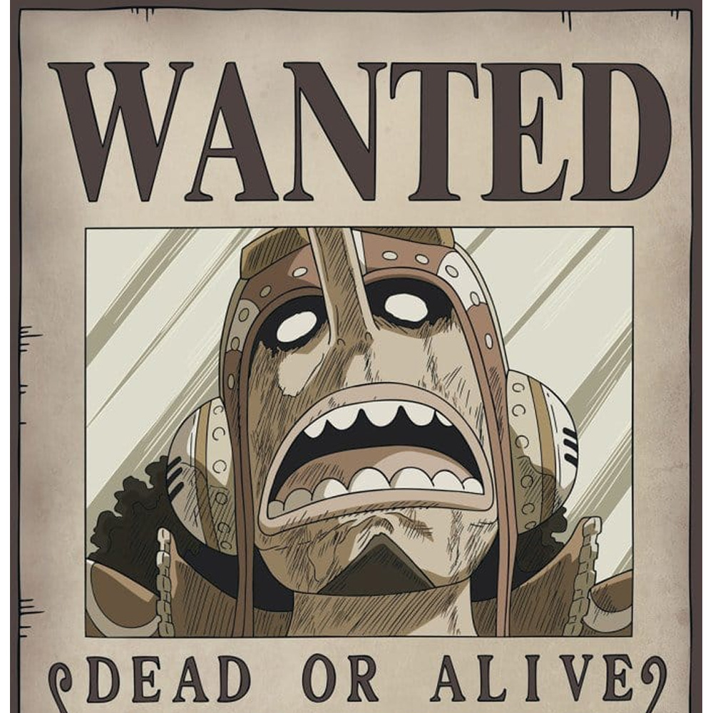 Wanted Poster - One Piece