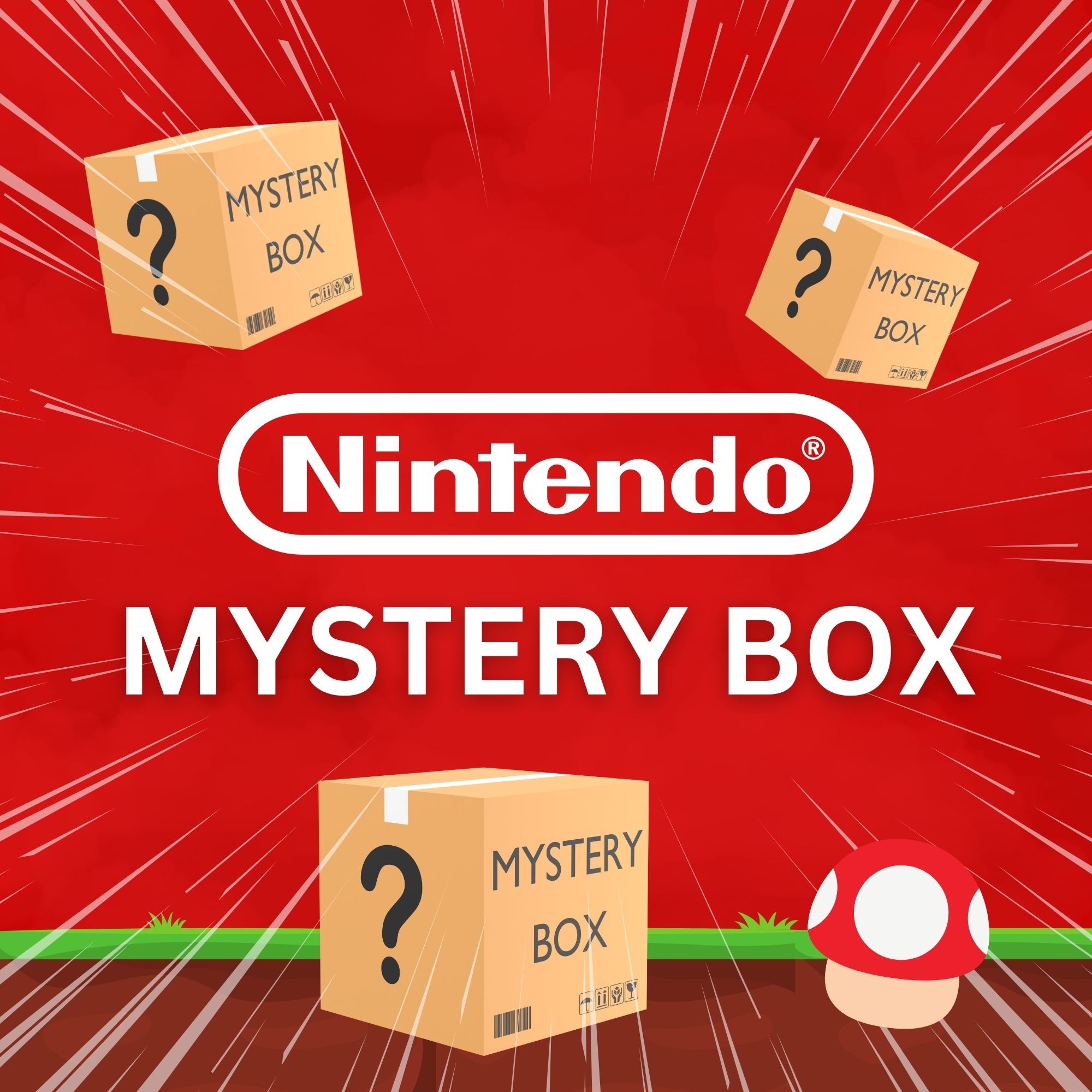 Nintendo Mystery Box (Überraschungsbox) Dezember 2024 - Limitiert