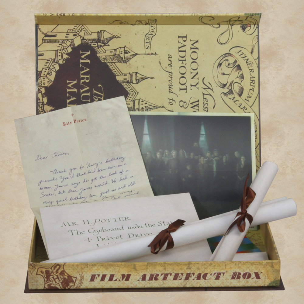 Artefaktbox Harry Potter - Harry Potter