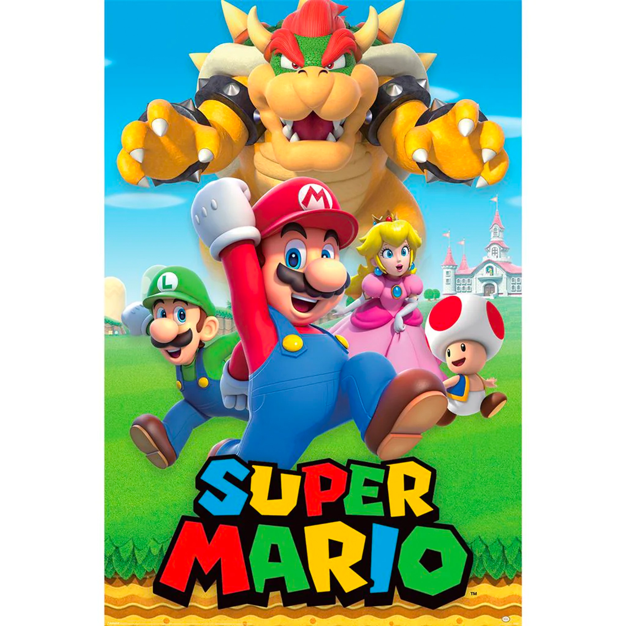 Character Montage Maxi Poster - Super Mario