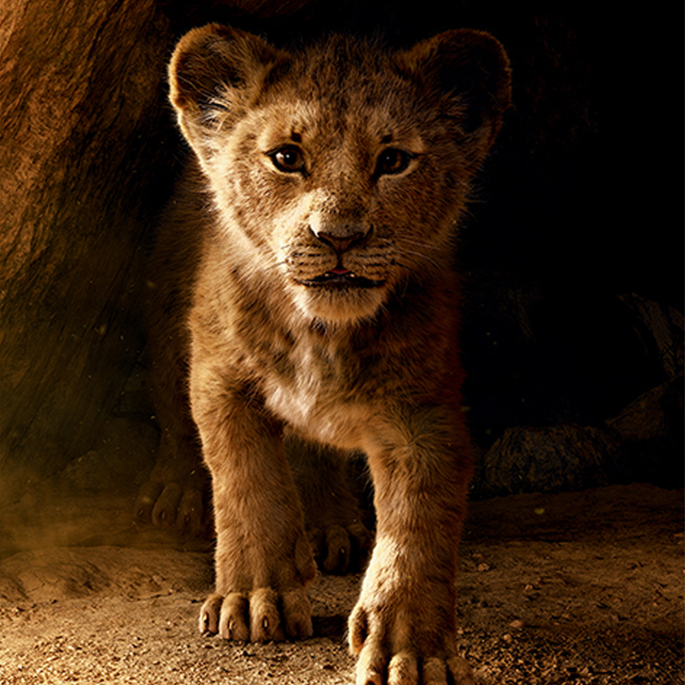 Future King Simba Maxi Poster - Der König der Löwen
